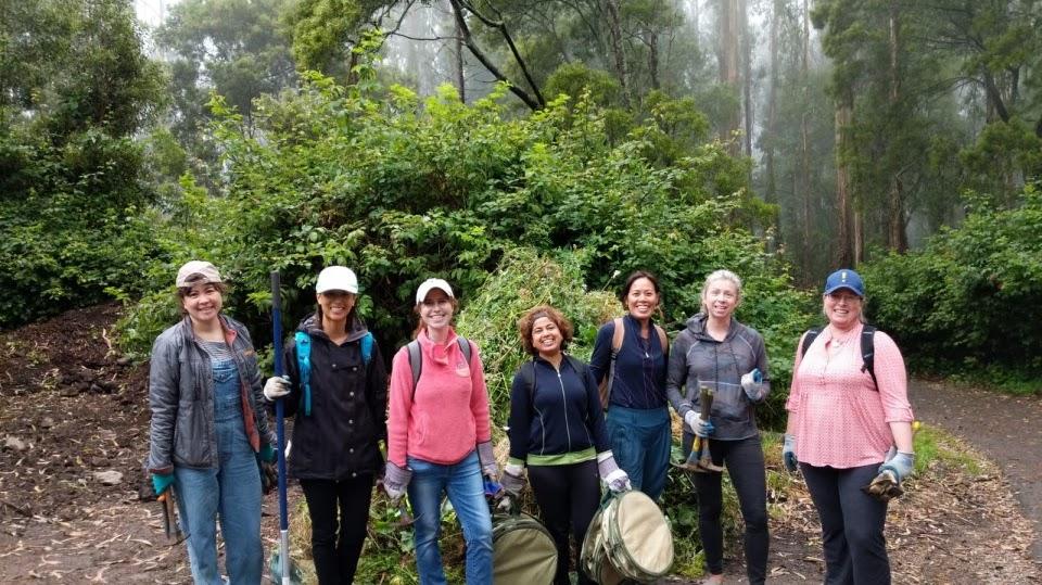 PMI-SFBAC-volunteers-at-Mt.-Sutro-Open-Space-Reserve-through-our-Sustainability-program.jpg